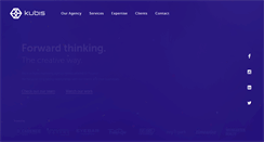Desktop Screenshot of kubisusa.com